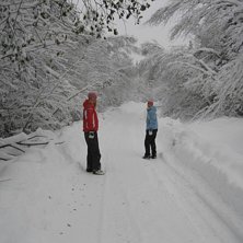 Massor med h&auml;rlig sn&ouml; i oktober!!. Kuva: Maria Lidfors. Ratsastaja: Eilert o Nina.