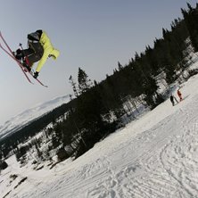 Kuva: james holm. Ratsastaja: jesper guldbrand.
