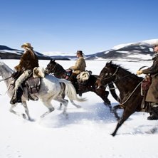 Kuva: Erik Olsson. Ratsastaja: Lena Olg&aring;rd, Lizette Lagerstedt, Anders Bylund.