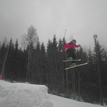 Kuva: adam forsberg. Ratsastaja: nizze nilsson.