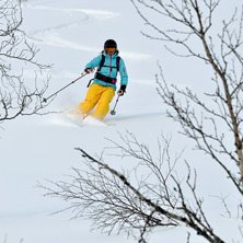 Kuva: Andreas Gustavsson. Ratsastaja: Anna Gustavsson.