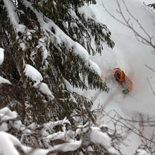 Herr Larsson &aring;ker hyfsat puder i Tottskogen p&aring; . Kuva: Mattias Fredriksson. Ratsastaja: Jon Larsson.