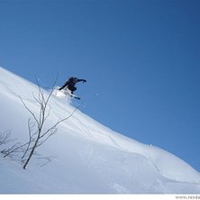 Allt var bra och inget var d&aring;ligt den h&auml;r dagen.. Kuva: Erik Wahnstr&ouml;m. Ratsastaja: Mats Hellstr&ouml;m.