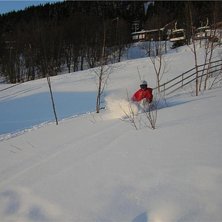 Kuva: Marcus  L&ouml;fvenberg. Ratsastaja: Mattias  L&ouml;fvenberg.