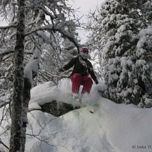 Dum gren iv&auml;gen :P. Kuva: Joakim Torkelson. Ratsastaja: Sara Torkelson.