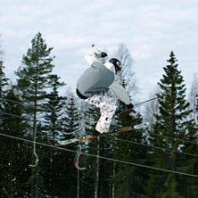 femmut. Kuva: Tor Luntperk. Ratsastaja: Joar Luntperk.