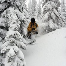 Dagen efter en 40cm dump. Kuva: Henrik Karlsson. Ratsastaja: Tobias Gustafsson.