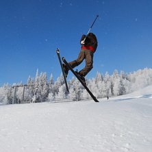 Kuva: Tobias Andersson. Ratsastaja: Martin Svensson.