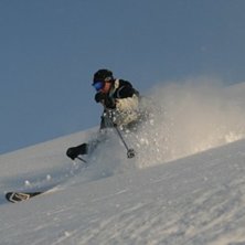 Fj&auml;derl&auml;tt pudersn&ouml;..... Kuva: Erik Edler. Ratsastaja: Daniel Andreou.