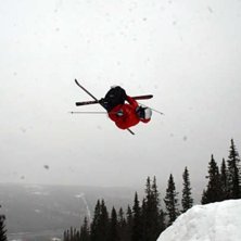 hopptr&auml;ning i duved, dspin 720 mute. Kuva: Oscar S&ouml;dergren. Ratsastaja: Erik Kikajon.