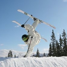 En liten handplant sis&aring;d&auml;r. Kuva: Victor Sj&ouml;berg. Ratsastaja: Andreas &Ouml;jbrandt.