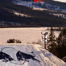 Tagen under Jon Olsson Invitational. F&ouml;rst&aring;r int. Kuva: Johan St&aring;hlberg. Ratsastaja: Pk Hunder.