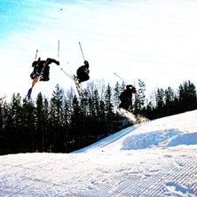 Kuva: anders olsson. Ratsastaja: andreas sundell.
