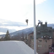 Kuva: emma mauritzon. Ratsastaja: ok&auml;nd.