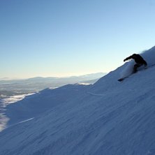 Kuva: Andreas Junggren. Ratsastaja: Jonas Sj&ouml;din.