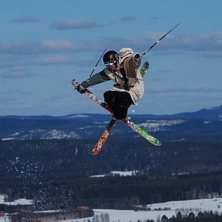 fett mute. Kuva: Erik . Ratsastaja: Kristoffer jonsson.