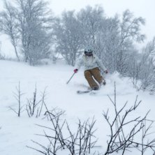 Kuva: johan olsson. Ratsastaja: hanna skogsberg.