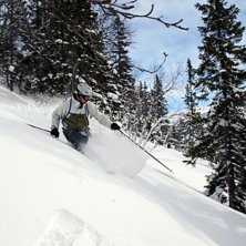 Kuva: Erik Olofsson. Ratsastaja: Martin Andr&eacute;asson.
