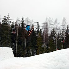 Kuva: DP. Ratsastaja: Martin Karlsson.