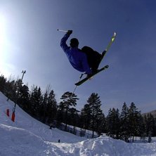 Dsnurrtv&aring;ochetthalvtvarv!. Kuva: Andreas Fransson. Ratsastaja: Andreas Nilsson.