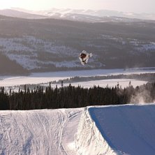 Kuva: Jesper Bryngelsson. Ratsastaja: Jonas Mattsson.