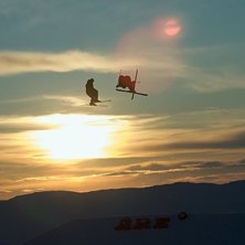 fr&aring;n f&ouml;rsta JOSS Sessionen i stendalen . Kuva: Jonathan Selinder. Ratsastaja: Br&ouml;derna H&aring;tveit.