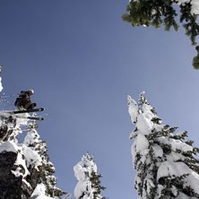 Kuva: Henik Karlsson. Ratsastaja: Dan Leonn.