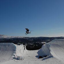 Kuva: Dennis Ylikangas. Ratsastaja: Marcus Gardefjord.