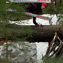 Handplant 180 &ouml;ver ett liggande tr&auml;d 200 meter f. Kuva: Johan Lantz. Ratsastaja: Elov Olsson.