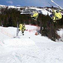 Ratsastaja: Mattias Vogel.