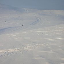Kuva: Carolin. Ratsastaja: Stefan Hellberg &amp;amp; &Auml;ngelholm Fredde.