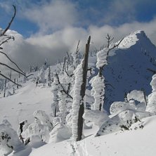 Topptur n&auml;ra Red Mountain. Sista 100 h&ouml;jdmetrarn. Kuva: Johan Olofsson.