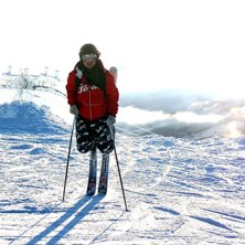 Top of the line! Softar p&aring; toppen av skutan.
. Kuva: Johan Ronnesj&ouml;. Ratsastaja: Land&eacute;nkungen.