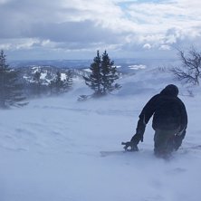 Kuva: josefin. Ratsastaja: jag.