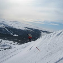 &Ouml;rnen flyger. Kuva: Bengt Eriksson. Ratsastaja: Magnus Sundman.
