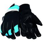 10 Peaks Mount Allen 2019